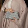 Small Silver Clutch