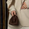 Small Brown Clutch